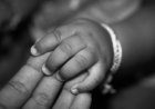 Түркістан облысында шала туған сәбидің денесі табылды