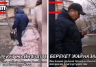 Желіде әкім орынбасарының қоқыс жәшіктерін тепкілеген видеосы тарады