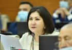«Тоғызкөргөл немесе гечюрме»: Мәжіліс депутаты «Тоғызқұмалақтың» атауын өзгертуді ұсынды
