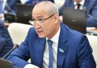 «Тәңіршілдік - дін емес, бұлар адасушылар»: Мәжіліс депутаты