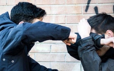 Жамбыл облысында мектеп әжетханасында төбелес болған: бір оқушы қайтыс болды