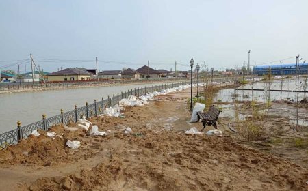 Жайық бойын қуалаған тасқын Атырау облысына таяп қалды