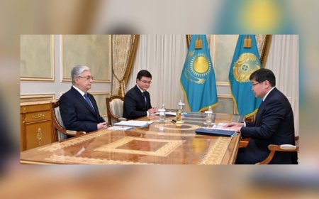 Мемлекет басшысы Қаржы министрі Мәди Такиевті қабылдады