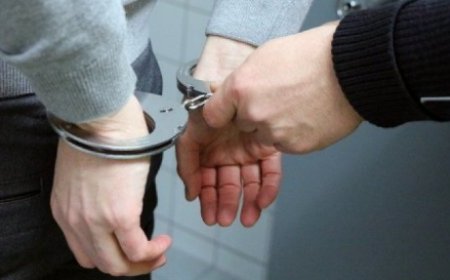 Қырғызстанда 29 баланы қағып кеткен жүргізуші қамауға алынды