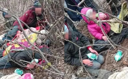 Павлодарда алты баласы бар отбасы даладан табылды