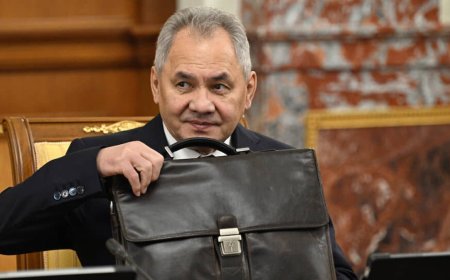 Шойгу Ресей қорғаныс министрі қызметінен қуылды