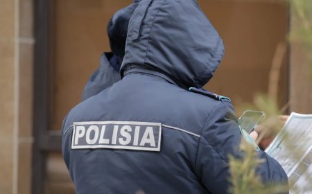 «Полицейлер екі бауырымды ұрып-соқты»: Ақмола тұрғыны Тоқаевтан көмек сұрады (ВИДЕО)