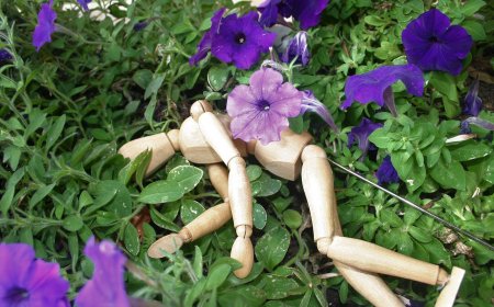 Жамбыл облысында жасөспірімнің денесі табылды