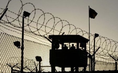 Алматы облысындағы колонияда миллиардтаған айналымы бар онлайн казино жұмыс істеген