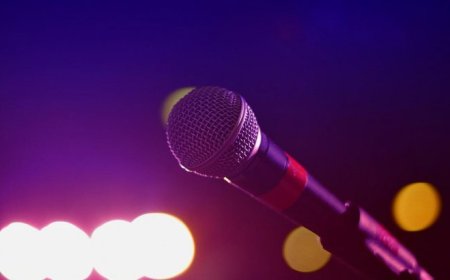 «Айыппұл - миллион»: Енді сахнада ішіп алып, «концерт қоятын» әншілер жазаланады