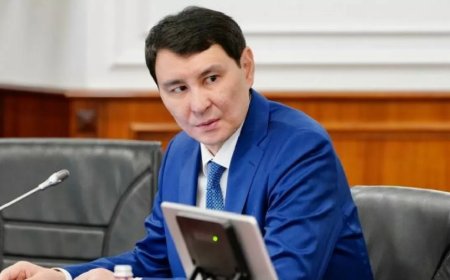 Ерұлан Жамаубаев Президент кеңесшісі болып тағайындалды