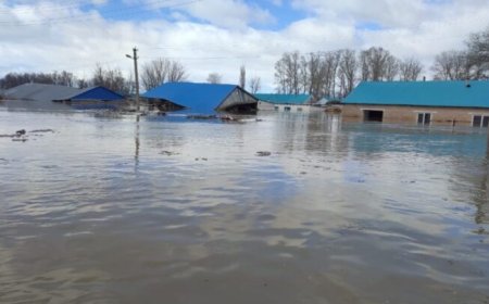 Құлсарыда мыңнан аса үй апатты деп танылды