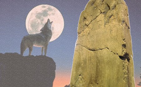 Түрік пе, түркі ме?