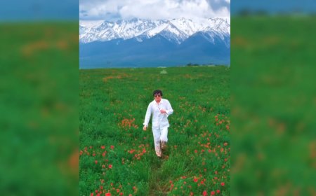 «Сіздер үшін ақ шалбар құрбан»: Қайрат Нұртас оқырмандары алдында ақталды