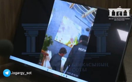 «Өзі жыныңды келтірген шығар»: Бишімбаевты ұстаған полицейлер жазаланды