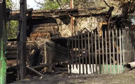 Петропавлда әйелін ұрып, үйін жарып жіберген зейнеткер қайтыс болды