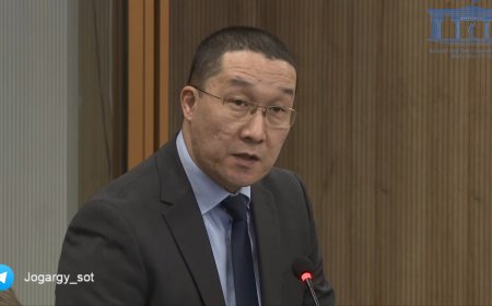 Бишімбаевтың адвокаты полицияға арыз жазды: тергеу басталды