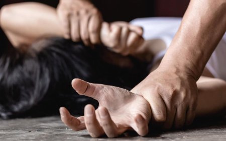 «Зорлап, видеоға түсірген: журналист Қызылордада 20 жастағы қыздың ісін полиция қарамай жатқанын айтты