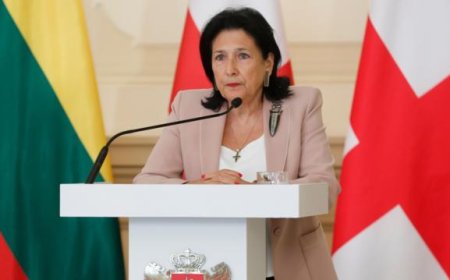 Грузия парламенті президент ветосына қарамастан «шетел агенті» туралы заңды қабылдап жіберді