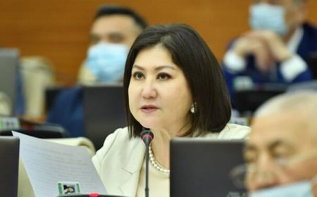 «Тоғызкөргөл немесе гечюрме»: Мәжіліс депутаты «Тоғызқұмалақтың» атауын өзгертуді ұсынды