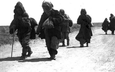 Ашаршылықта інісі әпкесін сойып жеуге мәжбүр болған