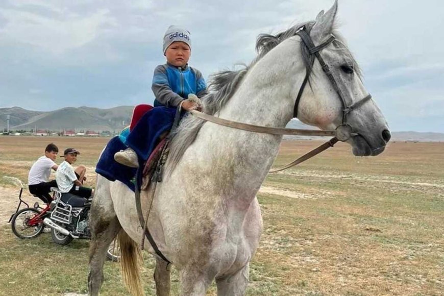 Өзі есекке жабысады Өзі есекке жабысады