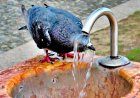 +46 °C. Синоптиктер аптап ыстық келе жатқанын айтып, дабыл қақты