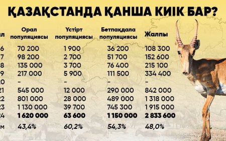 Қазақстанда киік саны 3 миллионға жуықтады