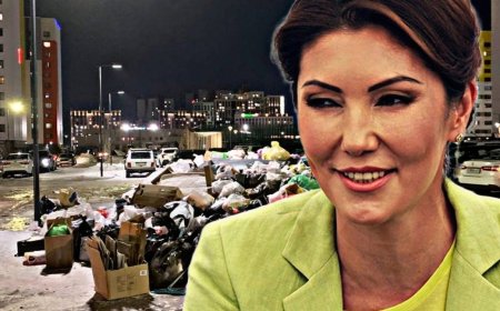 Әлия Назарбаеваның компаниясы қорғаныс министрлігімен келісімшартқа отырды