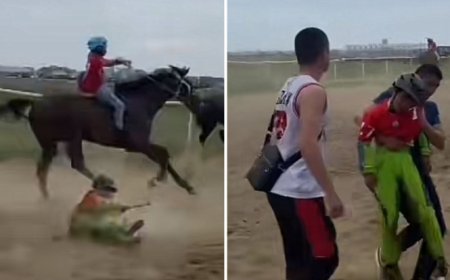 «Қарақұсынан тепкен»: Қостанайда шабандоз баланы ат таптап өтті (ВИДЕО)