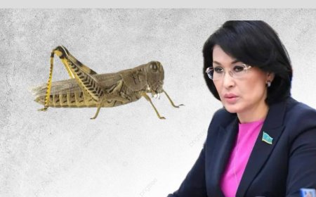 «Жауап беруге дайын емеспін»: Министр шегіртке жайлы сұраққа жауап беруден бас тартты