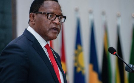 Малави вице-президенті мінген ұшақ апатқа ұшырап, барлық жолаушы қаза тапты