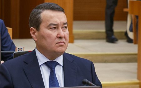 Депутаттар ҚТЖ-ның жайын айтып барған Әлихан Смайыловтың ит терісін басына қаптады