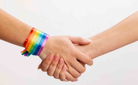 «ЛГБТ насихатына тыйым салу заңға қайшы» – Заңгер