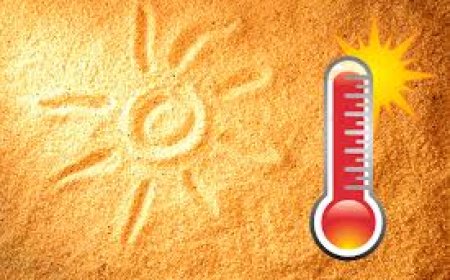 Демалыс күндері 42 градусқа дейін күн ысып, қатты жаңбыр жауады