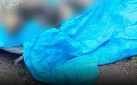 «Біреу өлтіріп, мәйітті лақтырған сияқты»: Алматыда көшеде жалаңаш жатқан әйелдің денесі табылды