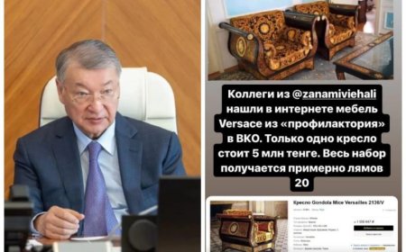 «Бір креслосы 5 миллион теңге»: Журналист экс-әкім Даниал Ахметовтың бұрынғы резиденциясын көрсетті