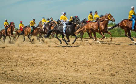 «Шыжыған шілдеде ат зорығып өлмесін»: Ақсуатта 135 шақырымдық аламан бәйге өткелі жатыр