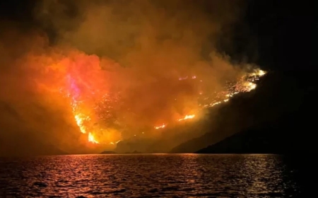 Қазақстаннан барған туристер Грекияда бүтіндей бір аралды өртеп жіберді