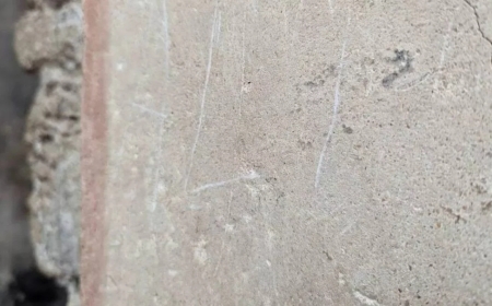 Қазақстандық турист Италияда елімізді масқара етті