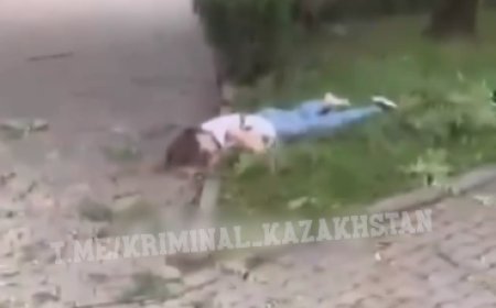 Алматыда әйел адам аттракционнан құлап мерт болды (ВИДЕО)