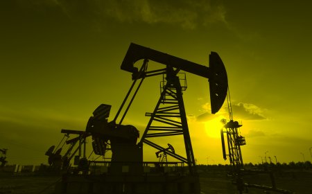 «Жақын туыстарына жалақы төлеп отырған»: Маңғыстауда 4 ірі мұнай-газ компаниясының басшылары қамауға алынды