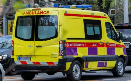 Алматыда билеп жүріп терезеден құлаған қыз жайлы жаңа мәліметтер шықты