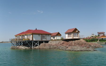 «Қонаевта 7 гектар жер қытайлықтарға берілген»: Әкімдік ақпарат шындыққа жанаспайтынын айтты