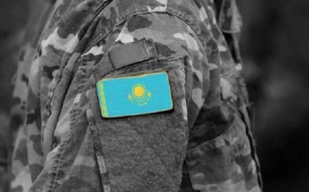 Әскерде жүріп ажал құшқан қос сарбаздың өліміне қатысты тың дерек шықты