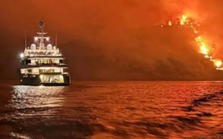 Грекиядағы орман өрті: Қазақстан азаматтарына айып тағылды