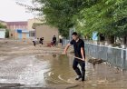 Жаңатасты су басты: соңғы мәліметтер белгілі болды