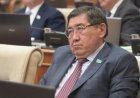 Хиджабпен күресіп жүрген депутатты улаған кім