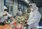 Алматыда қоқыс арасынан жаңа туған сәбидің денесі табылды
