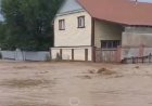 Алматы облысында сел жүріп, үйлерді су басты